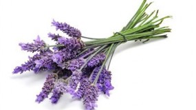 does lavender help you sleep