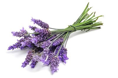 Does Lavender Really Help You Sleep Better?