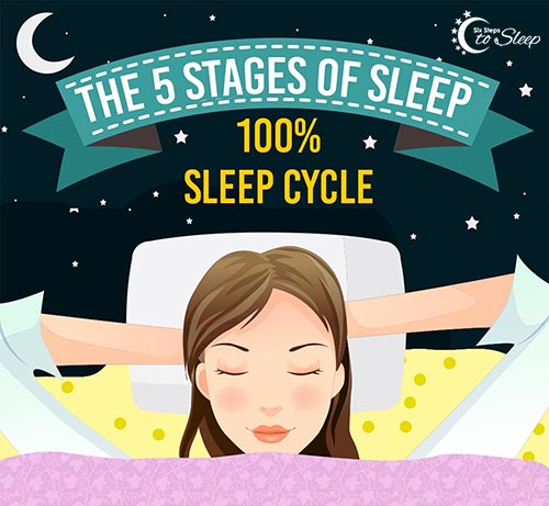 Understanding the Sleep Cycle & Stages of Sleep (Infographic)